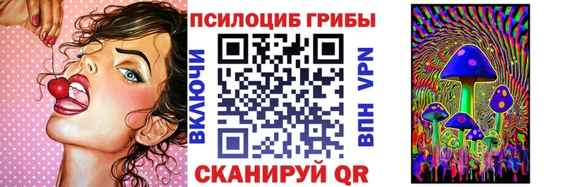 Галлюциногенные грибы мухоморы  купить наркотик  Болгар 